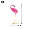 Bright Standing Flamingo Looking Back