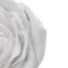 S/2 White Rose Hanging Wall Accents