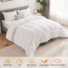 Bedding Polyester Comforter Duvet Insert, Quilted Comforter with Corner Tabs, Box Stitched Alternative Comforter with Ultra Soft Fiber Material